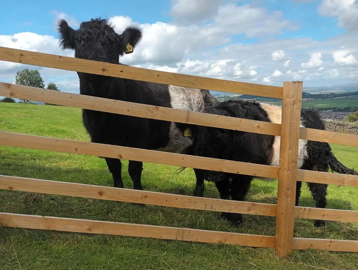 The Herdsman Luxury Shepherds Hut Barnoldswick Holiday home