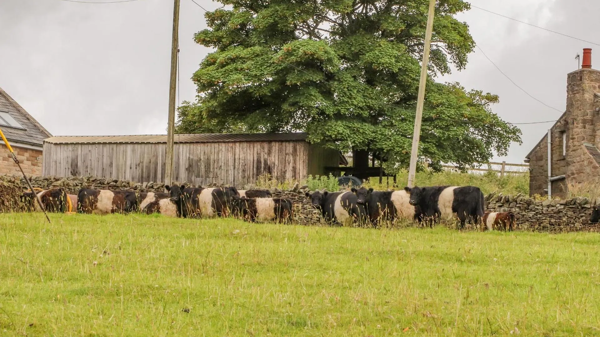 The Herdsman Luxury Shepherds Hut Barnoldswick