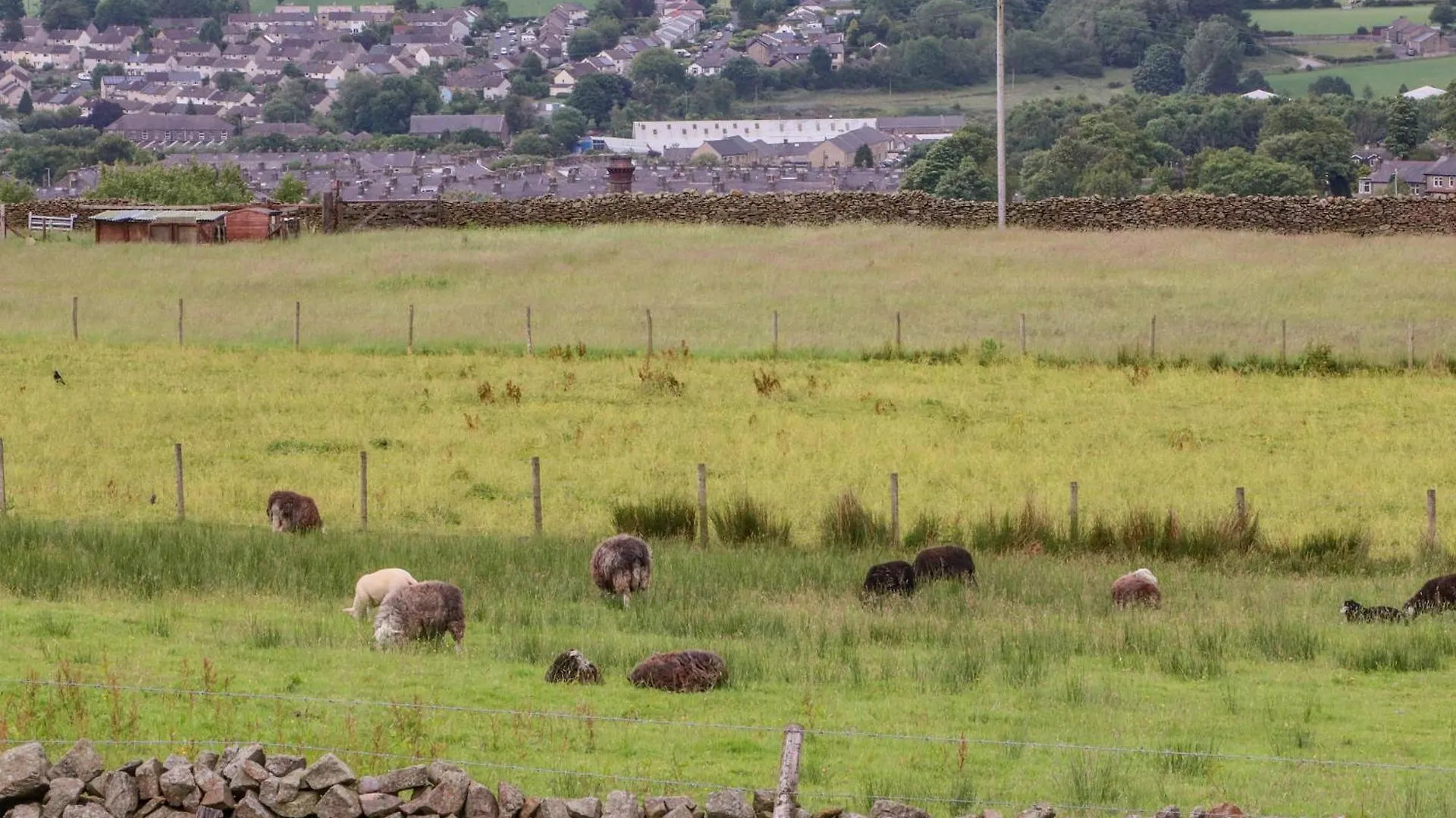 The Herdsman Luxury Shepherds Hut Barnoldswick 0*,